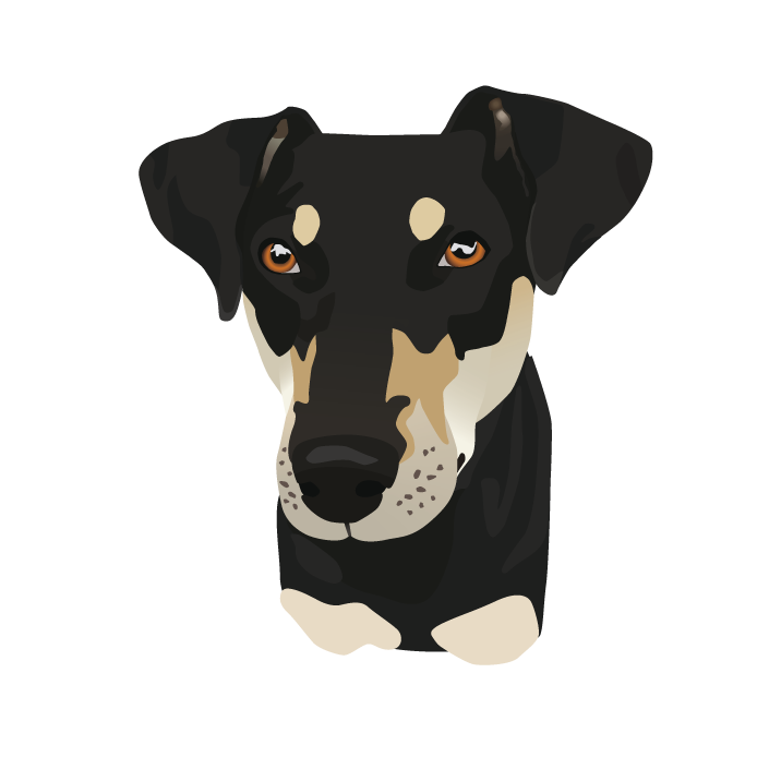 Zoey