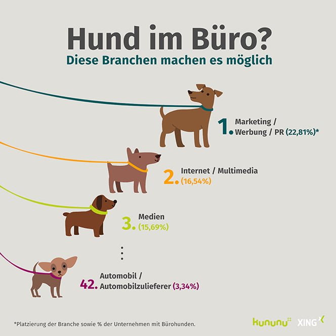 hunde_infografik-kununuxing-664