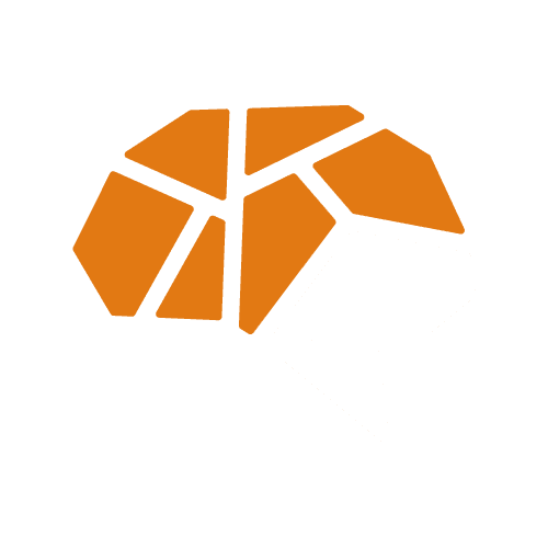 Netzdenke